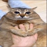 fug