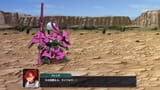 videoframe_227993