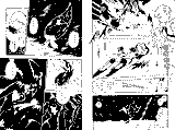 1744637544395[1]