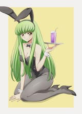 CCWabbit