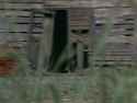 [Dodgy]_Return_of_Ultraman_-_33_[06757D45]_thumb.jpg