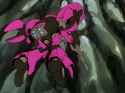 Contio shot claw_thumb.jpg