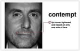 contempt