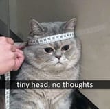 1722669889177400