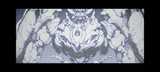 Thread 23326599 OP Image
