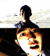 High Contrast Tsubaki