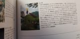 this isn&#039;t about if this is a selfie by kumiko fentess