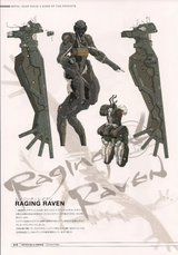 raven2