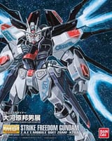 MG_100_Strike-freedom-gundam-kun