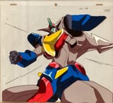 13-16 cel