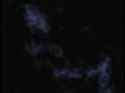 this is really the opening title_thumb.jpg