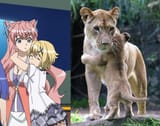mama cat
