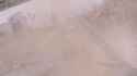 wolf granute reveal_thumb.jpg