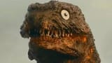 Picture of me caught on Google Maps