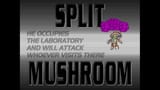 Through the purple haze part 1