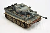 BW-TIGER-2