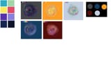 Palette