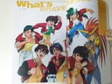 What&#039;s Brave