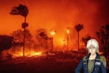 california zechs