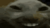 1736647467800077