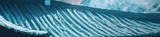 AI_Roof
