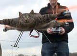 cat-drone-feature