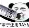 的模型世界