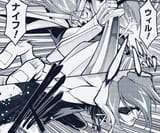 Hakaioh panels