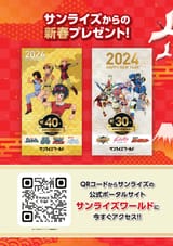 flash 30