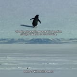 penguin nihilism