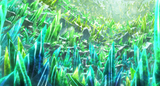 Sanctel_crystals