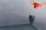 Cicada suicide