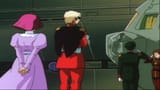 Haman the groomed