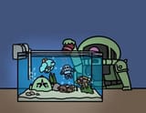 feeding the aquatics