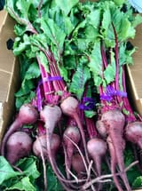 wild beets