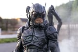 black-grasshopper@2x