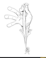 2fc85063b4677bdea25d3a63476fae0190d9f2893c9a7a83e58564562c47ab75_1.jpg