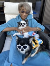 Yao dogs