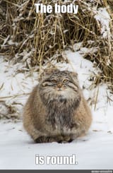 round