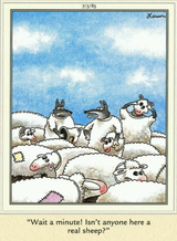 Wolfs_In_Sheep_Hide