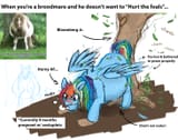 4chan_Pregnancy_breederDash 2