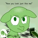 shaved