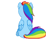 dashie_wut