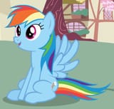 Dash happy sit 2