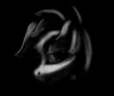 b&amp;w portrait study_001