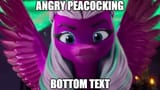 1746980200100564