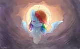 dashie angel