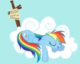 dashie pony in training