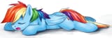 sleeping drooling Dash