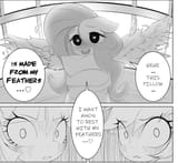 feathers
